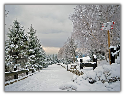 colli san fermo hills